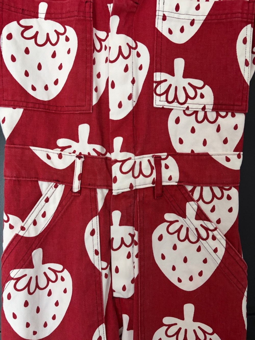 Big Bud Press strawberry/strawbaby jumpsuit - Picture 4 of 7